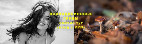синтетический гашиш Абдулино