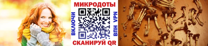 мориарти телеграм  Отрадный  Галлюциногенные грибы мухоморы  наркотики  hydra зеркало 