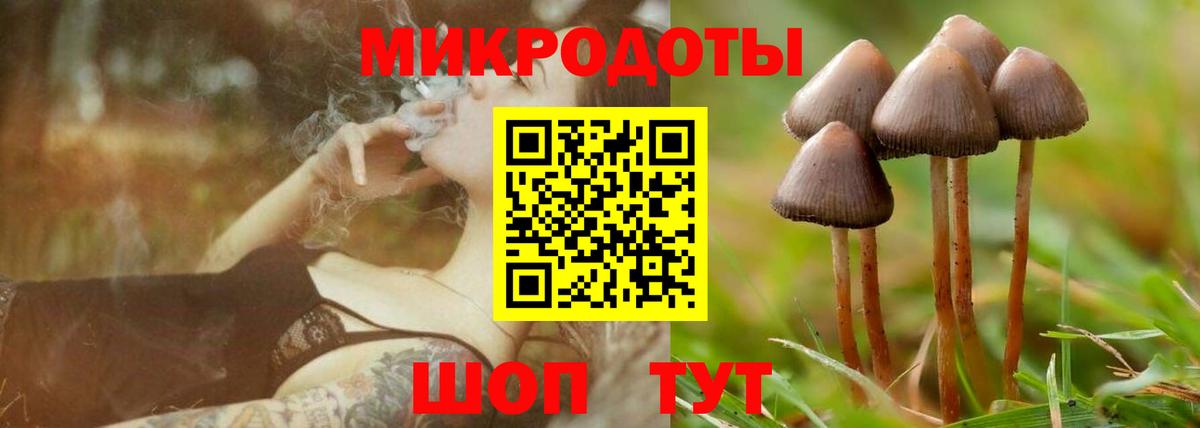 Псилоцибиновые грибы Cubensis  Вход с VPN  Отрадный 